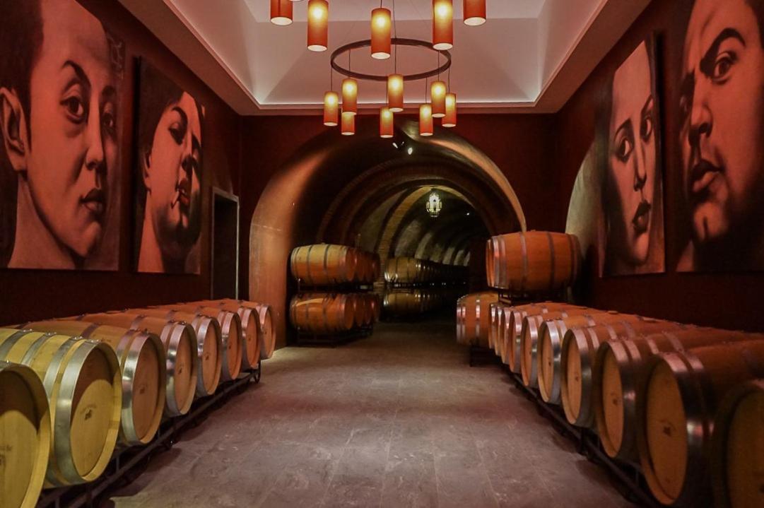 Hotel Vinicola Real-200 Monges Albelda De Iregua Exteriér fotografie
