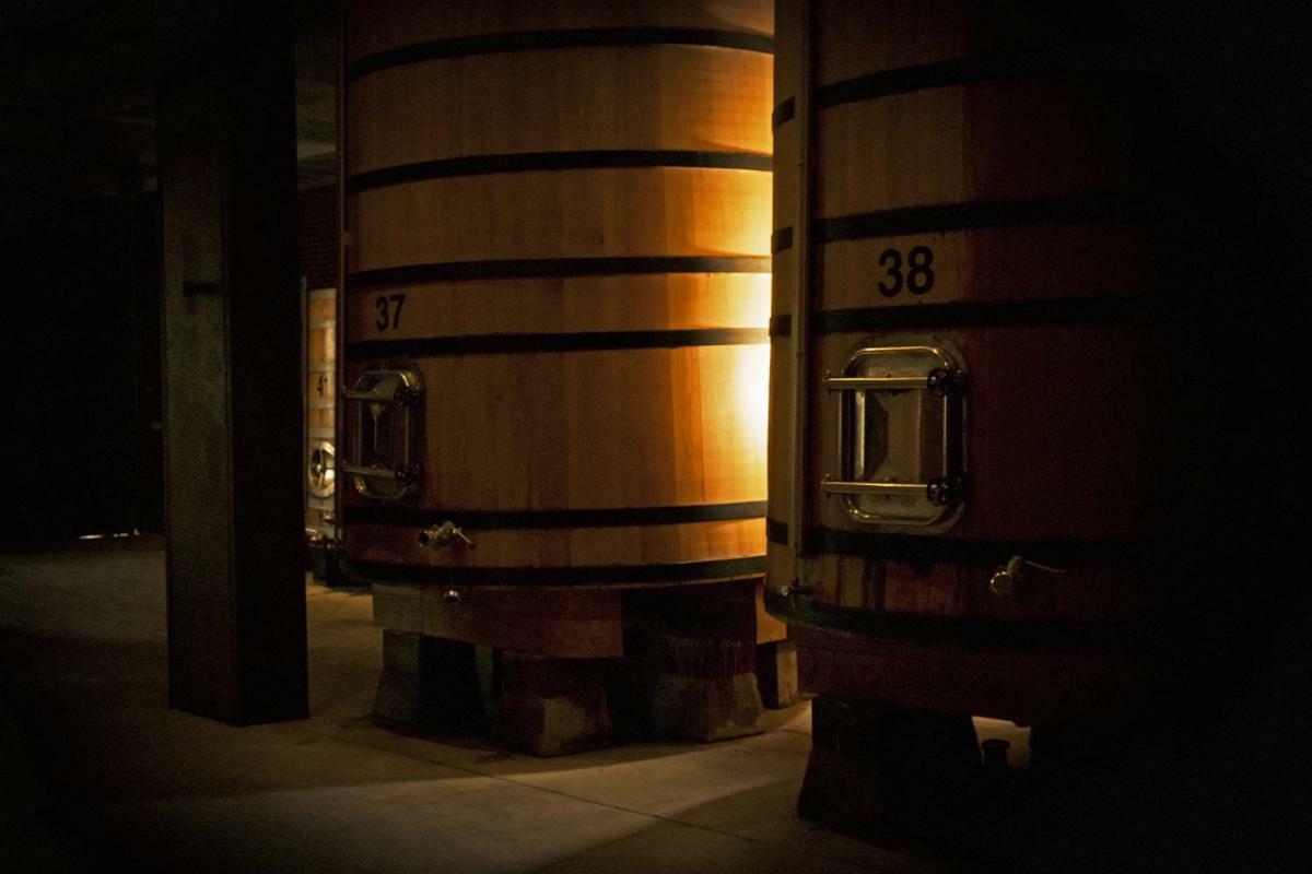 Hotel Vinicola Real-200 Monges Albelda De Iregua Exteriér fotografie
